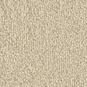 Vorwerk Safira Teppichboden Farbcode 8H76 – Draufsicht ohne Etikett